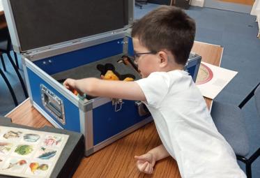 primary school aged boy reaching into a loan box